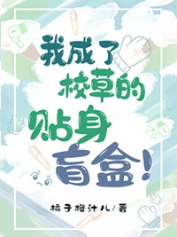 我成了校草的贴身盲盒 我成了校草的贴身盲盒