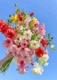 她是一朵难养的花(兄妹骨科h) 她是一朵难养的花(兄妹骨科h)