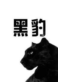 黑豹(1v1兽人h) 黑豹(1v1兽人h)