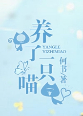 养了一只喵 养了一只喵