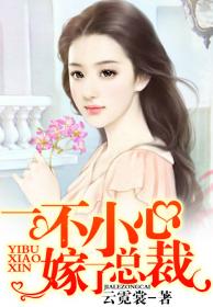 一不小心嫁了总裁 一不小心嫁了总裁