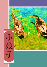 小娘子 小娘子