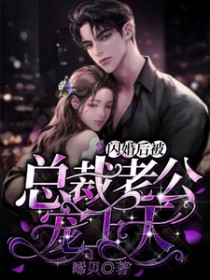 闪婚后被总裁老公宠上天 闪婚后被总裁老公宠上天