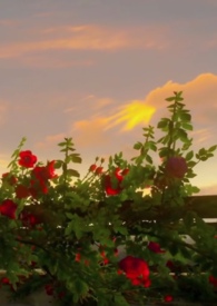 病爱摇篮曲(np,现代,含父女) 病爱摇篮曲(np,现代,含父女)