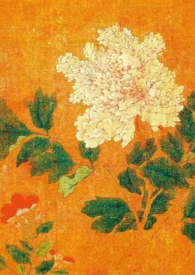 情姹(先婚后爱) 情姹(先婚后爱)