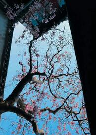 公主只想睡遍后宫(男生子NPH 公主只想睡遍后宫(男生子NPH