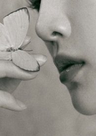 保护色 SM 保护色 SM