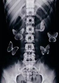 【二战】腹中蝴蝶〔年龄差、1V1、粗暴sex〕 【二战】腹中蝴蝶〔年龄差、1V1、粗暴sex〕