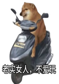 老实女人,不爱玩(快穿) 老实女人,不爱玩(快穿)