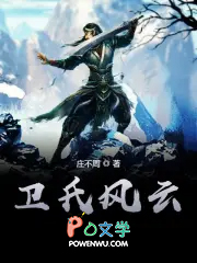 卫氏风云 卫氏风云