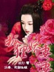 狐狸娇妻 狐狸娇妻