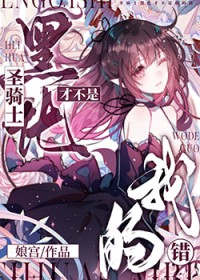 圣骑士黑化才不是我的错 圣骑士黑化才不是我的错