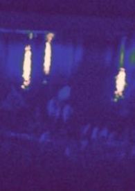 热狗与黑胶 热狗与黑胶