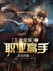 王者荣耀之职业高手 王者荣耀之职业高手