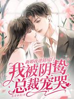 新婚夜进错房门,我被阴鸷总裁宠哭 新婚夜进错房门,我被阴鸷总裁宠哭