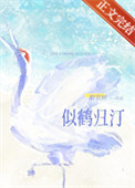 似鹤归汀 似鹤归汀