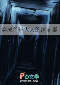 穿成首辅大人的渣前妻 穿成首辅大人的渣前妻