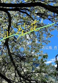 小梨花(校园h  1V1) 小梨花(校园h  1V1)