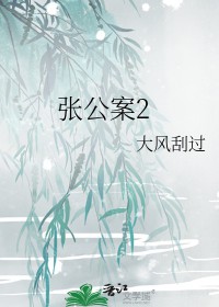 张公案2 张公案2