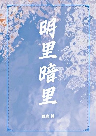 《明里暗里(1v2,兄弟盖饭)》 《明里暗里(1v2,兄弟盖饭)》