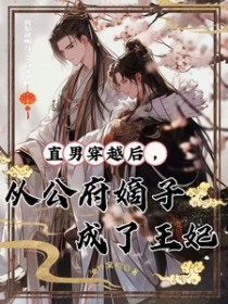 直男穿越后,从公府嫡子成了王妃 直男穿越后,从公府嫡子成了王妃
