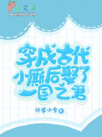 穿成古代小厮后娶了一国之君 穿成古代小厮后娶了一国之君