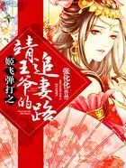 姬飞弹打之靖王爷的追妻路 姬飞弹打之靖王爷的追妻路