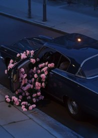 锁千秋【futa】 锁千秋【futa】