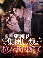 相亲当晚,集团总裁拉着我闪婚了 相亲当晚,集团总裁拉着我闪婚了