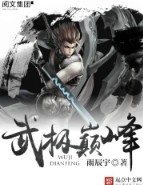 武极巅峰 武极巅峰