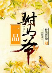 一品驸马爷 一品驸马爷