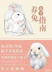 新手养兔指南 新手养兔指南