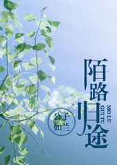 陌路归途 陌路归途