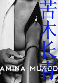 苦木长青(女B男A) 苦木长青(女B男A)