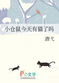 小仓鼠今天有猫了吗 小仓鼠今天有猫了吗