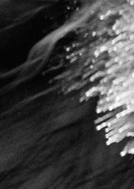 黑夜的玛丽亚 黑夜的玛丽亚