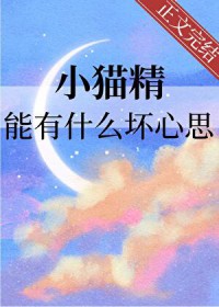 小猫精能有什么坏心思 小猫精能有什么坏心思
