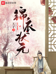 锦衣状元 锦衣状元