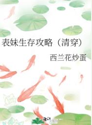 表妹生存攻略(清穿) 表妹生存攻略(清穿)