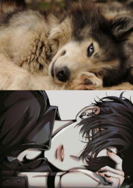 求娇(NPH  带图) 求娇(NPH  带图)