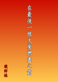 在最后一根火柴燃尽之前 在最后一根火柴燃尽之前