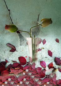 一朝风雨(GL) 一朝风雨(GL)