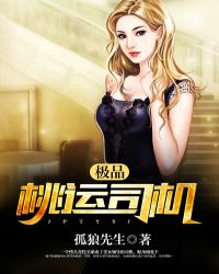 极品桃运司机 极品桃运司机