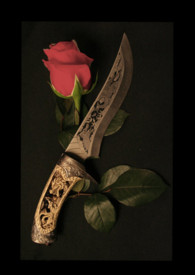 贞观情仇 贞观情仇